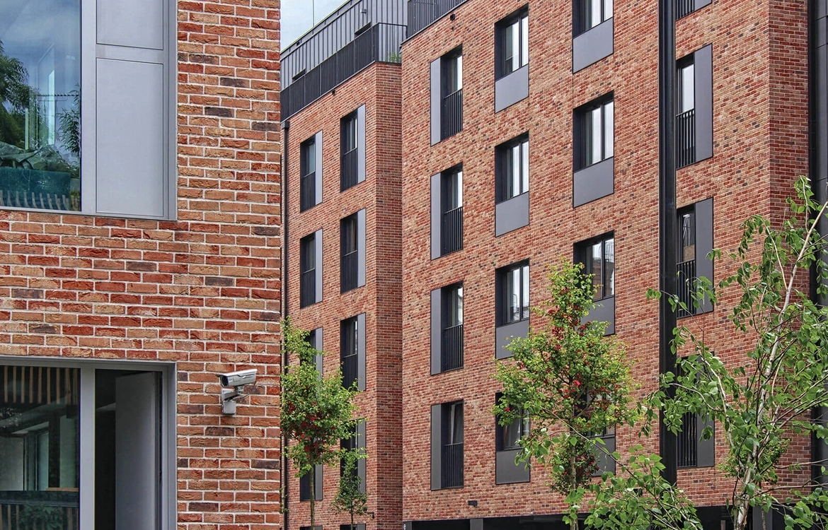 Cegła ręcznie formowana Romance DF23 Vandersanden - obrazek 2