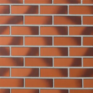 Cegła Perforowana Cameleo LODE